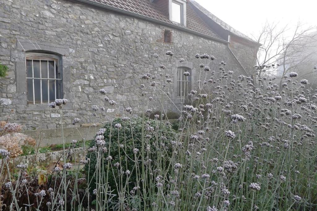 La Ferme Aux Oiseaux B&B Beaumont Zewnętrze zdjęcie